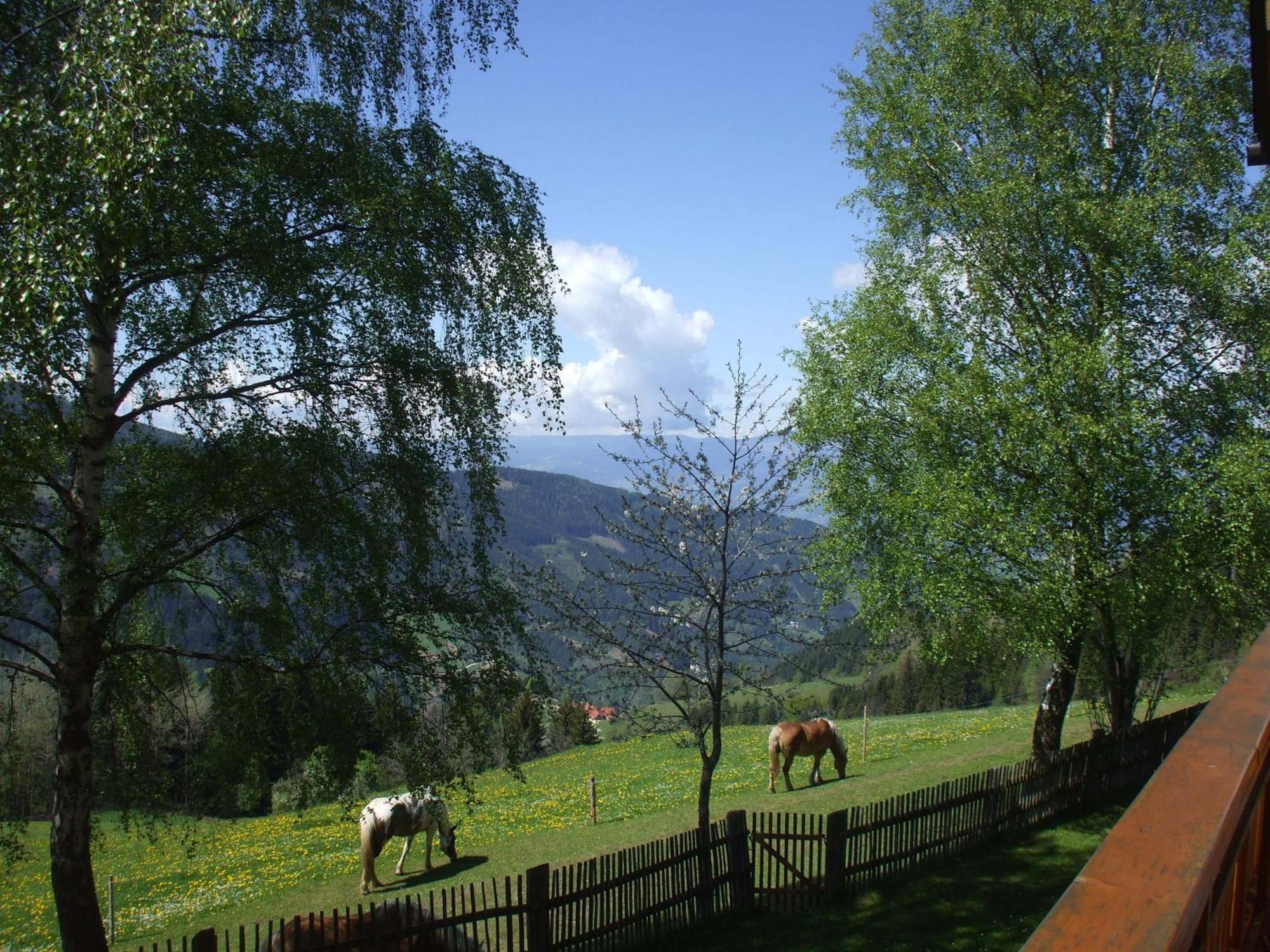 Obergösel Bauernhof Pension Juri מראה חיצוני תמונה